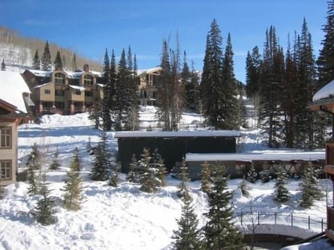 Up Canyon view toward Brighton