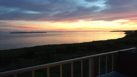 Ocean View from the Balcony