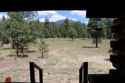 View of Redondo Peak from porch.
