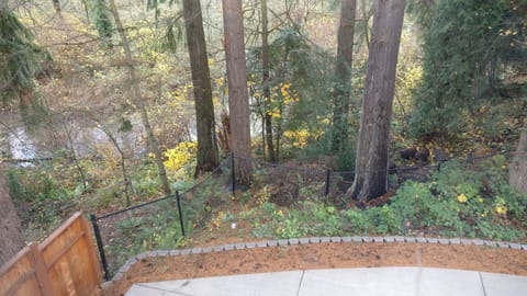 View from Master Bedroom looking down on the stream