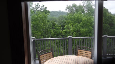 View overlooking the valley, and the bike trail (no you can't really see it)