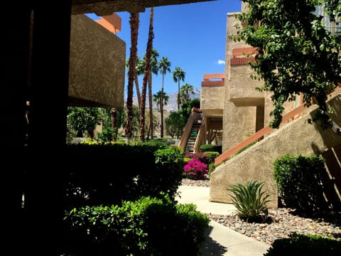 view from livingroom