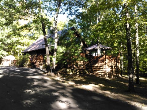 Summer View From Driveway
