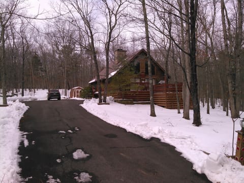 Winter View From Road