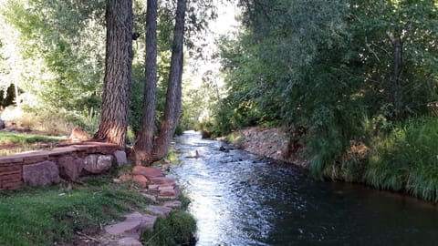 yard, hike, play creekside all-day 
for info   562 - 508-6555