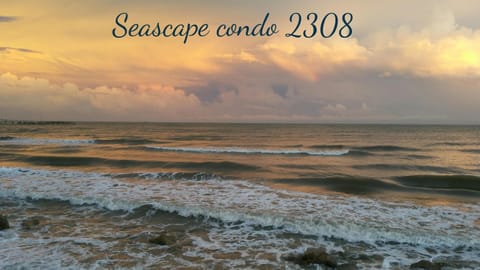 Welcome to the highest rated condo at Seascape! We can't wait to host you!