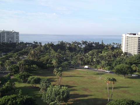 Park and Ocean View