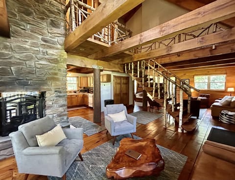 Fireplace area reflects the natural world, with space to read and enjoy games.