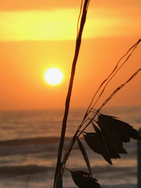 Beautiful West Coast Sunsets