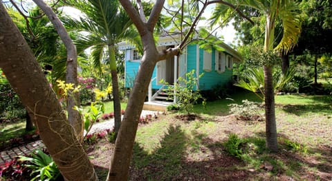 The Jewel nestling amongst the trees