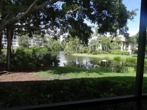Lanai View
