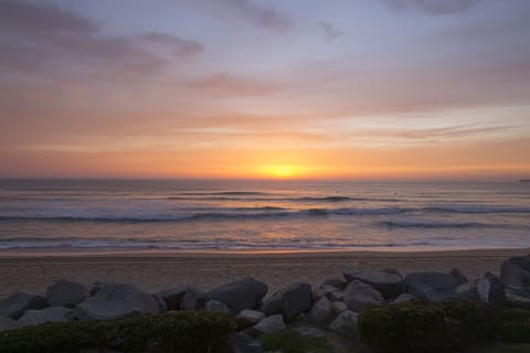 Spectacular Sunsets. Walk on the Beach for miles & Miles
