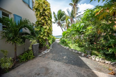 Side walkway from the driveway leading to the back yard and beach