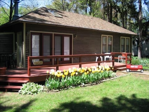 Spring at cottage, Union Pier, Michigan 2008