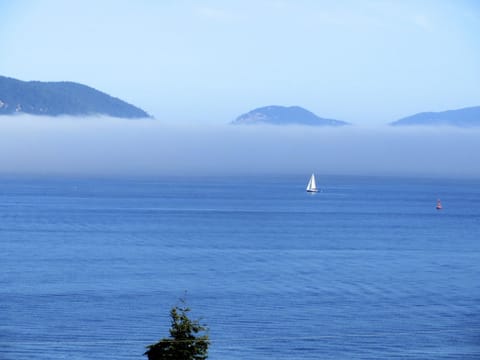 Sailboat in the Fog - View from Balcony