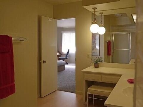 Master Bathroom Vanity