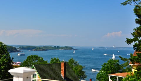 From Deck...The Bay filled with sail boats, ferries and fishing vessels.
