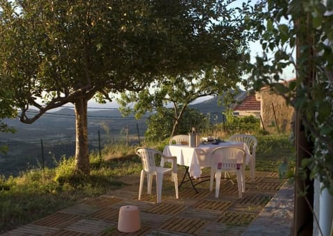 the terrace in front of the apartment