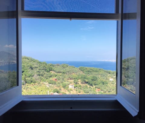 The view from the garden and most of the rooms