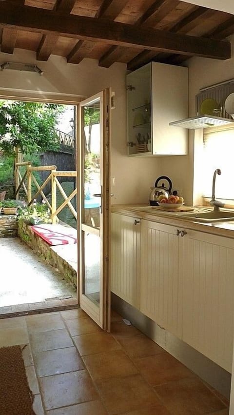 Galley kitchen leading to terrace and garden