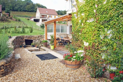 View beyond house to vineyards. Pond in foreground.