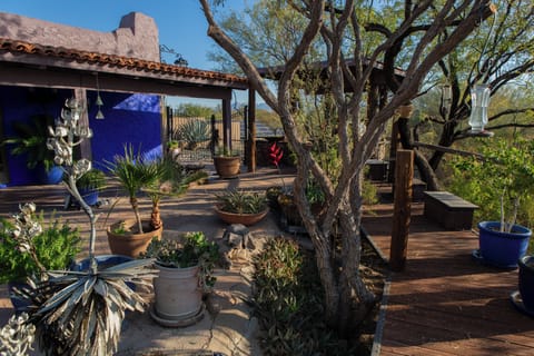Cactus water fountain (left) Bridge over arroyo (rt)
