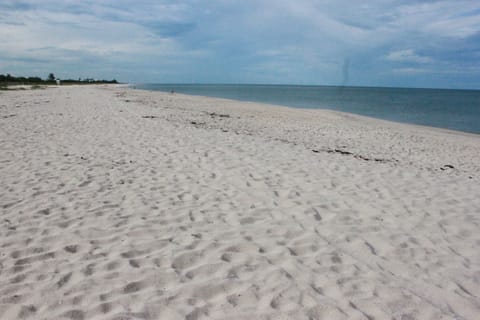 South Beach - Just Steps Away!