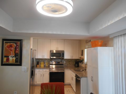 Ceiling Fan/Light over Dining Table