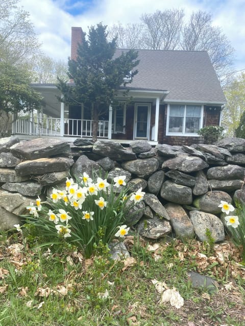 Windward Cottage, on a cool crisp spring morning.