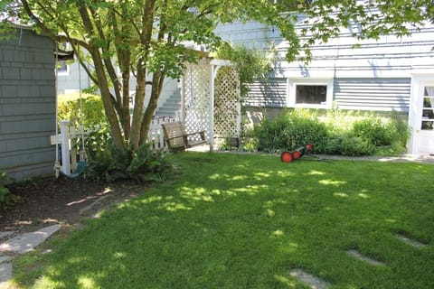 Back yard during the summer