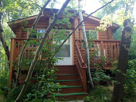 Enjoy a peaceful, cool stay in the Montana cabin's shady Aspen grove