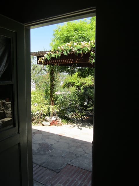 View from bed looking out to yard.