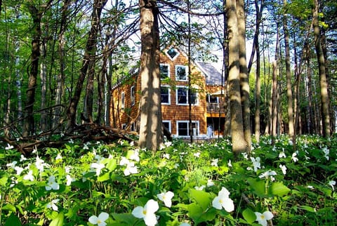 In the springtime during while the trillium are in bloom.