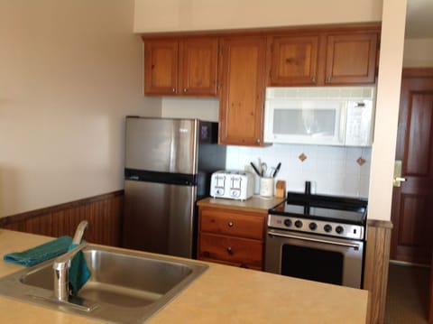 Kitchen with new ceramic cook top stove, dishwasher, full frig, microwave.