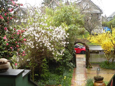 Front yard during spring