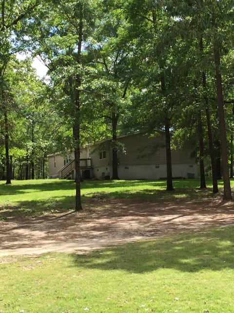 Outside view of yard