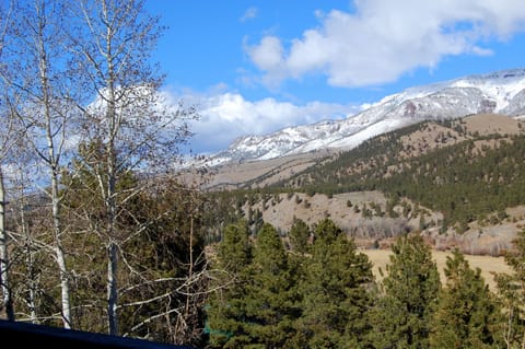 View in April from cabin deck; the meadow below is where elk graze.