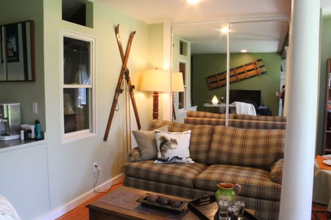 Living Room with queen size sleeper sofa