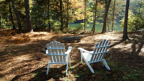 Restful clearing outside the french doors of the cottage to enjoy!
