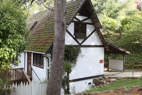 Street view of home on corner lot lined with native trees and walking distance to parks and shops
