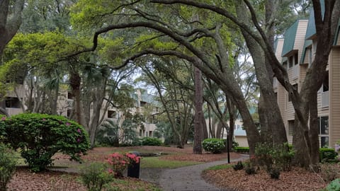 THE GROUNDS