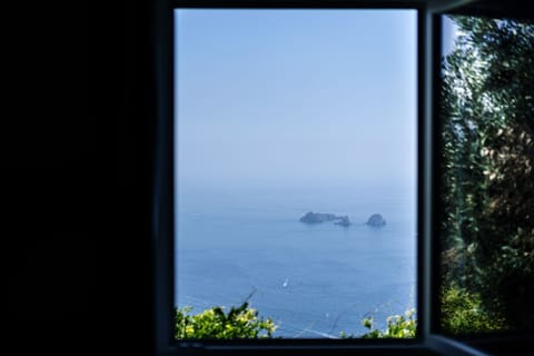 Another panoramic window....