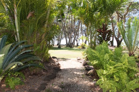 Landscaping in back of home looking toward ocean.