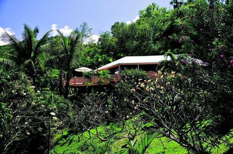 Looking up at Stone Cottage