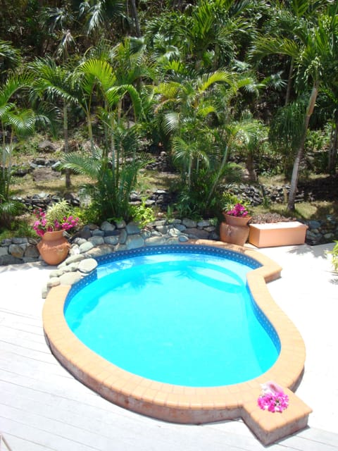 Looking back at the pool.