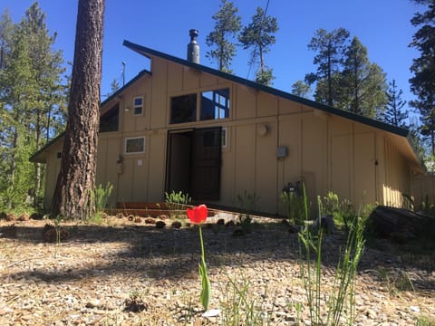 View of front of cabin 2017