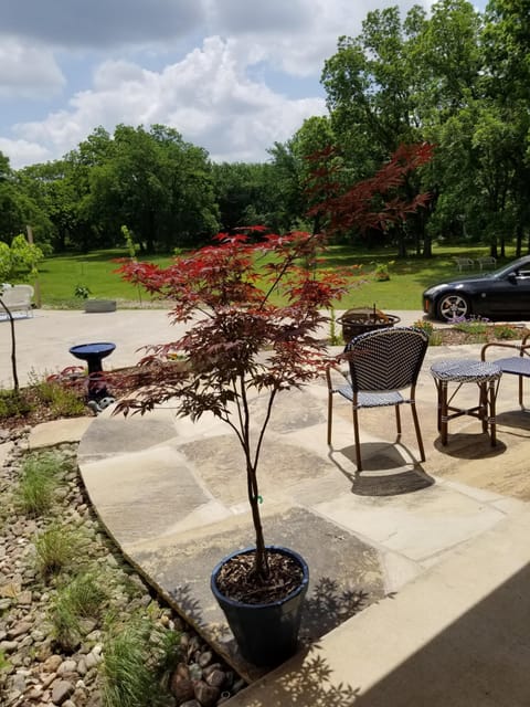 Back porch