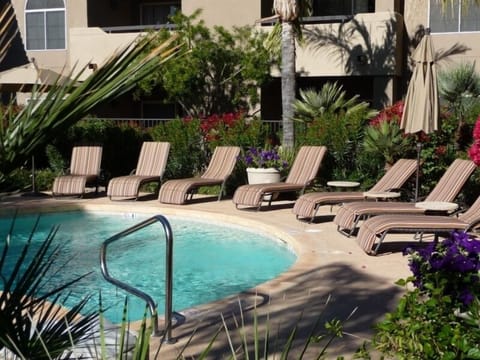 Heated pool, hot tub & outside dining at the pool.