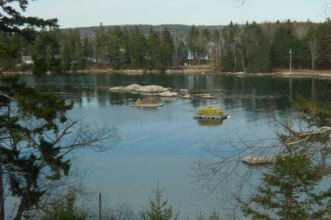 View of Pigs Cove at high tide looking at Capital Island and beyond.
