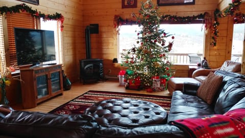 Family Room - new 60" TV